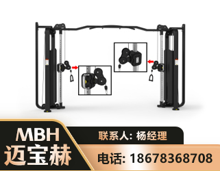 海口大飞鸟训练器