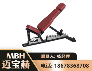 海口可调哑铃椅